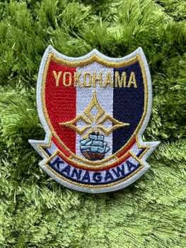 横浜高校　父母応援用ジャケット 61b9Do0+vLL._UF350,350_QL50_.jpg